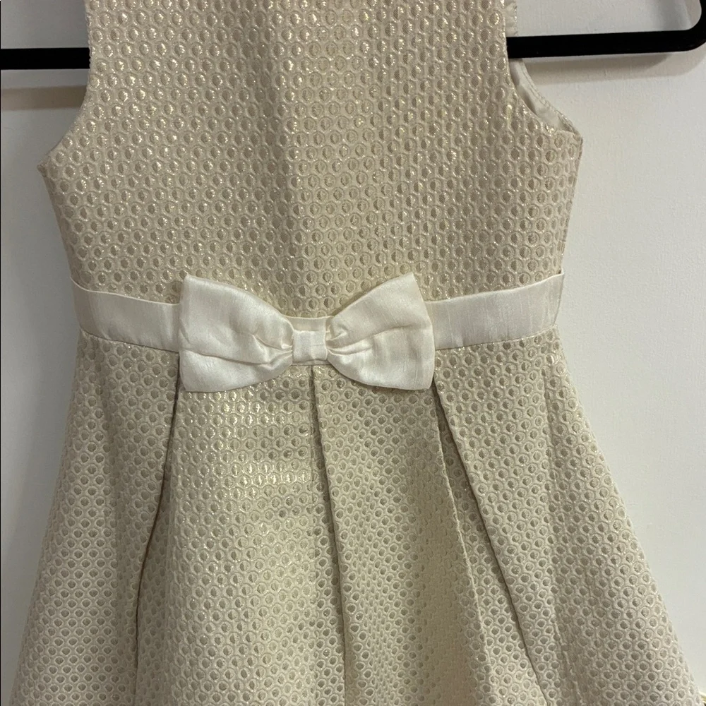 Gymboree charming waist dress